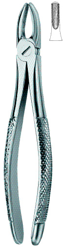 Tooth Ext Forceps