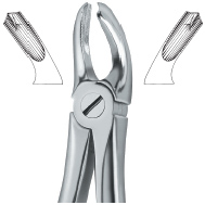 Tooth Ext Forceps