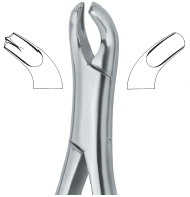 Tooth Ext Forceps Amr