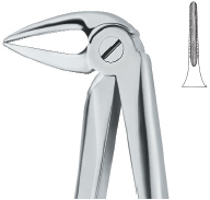 Tooth Ext Forceps