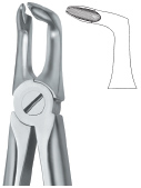 Tooth Ext Forceps