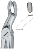 Tooth Ext Forceps