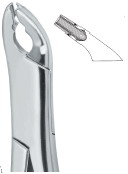 Tooth Ext Forceps Amr