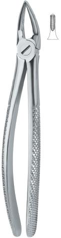 Tooth Ext Forceps