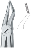 Tooth Ext Forceps