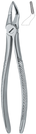 Tooth Ext Forceps