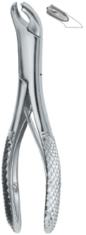 Tooth Ext Forceps