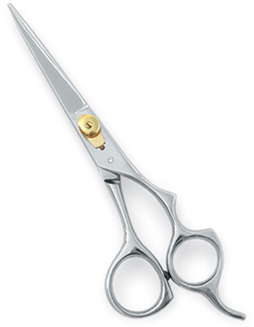 Hair Cutting Scissors