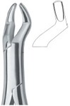 Tooth Ext Forceps Amr