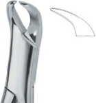 Tooth Ext Forceps Amr