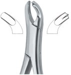 Tooth Ext Forceps Amr