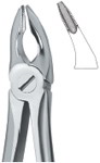 Tooth Ext Forceps