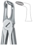 Tooth Ext Forceps