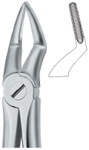 Tooth Ext Forceps