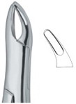 Tooth Ext Forceps Amr