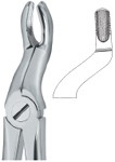 Tooth Ext Forceps