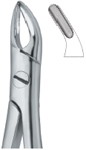 Tooth Ext Forceps