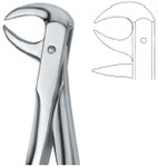 Tooth Ext Forceps