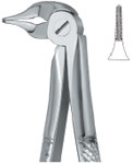 Tooth Ext Forceps