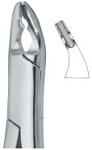 Tooth Ext Forceps Amr