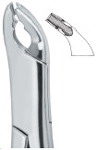 Tooth Ext Forceps Amr