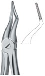 Tooth Ext Forceps