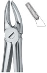 Tooth Ext Forceps