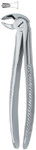 Tooth Ext Forceps