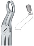 Tooth Ext Forceps