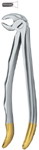 Tooth Ext Forceps