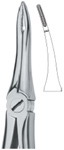 Tooth Ext Forceps