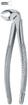 Tooth Ext Forceps