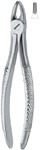 Tooth Ext Forceps