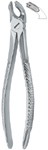 Tooth Ext Forceps