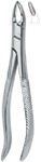 Tooth Ext Forceps