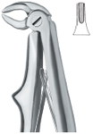 Tooth Ext Forceps