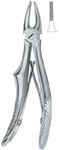 Tooth Ext Forceps