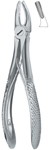 Tooth Ext Forceps