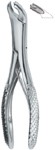 Tooth Ext Forceps