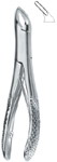 Tooth Ext Forceps